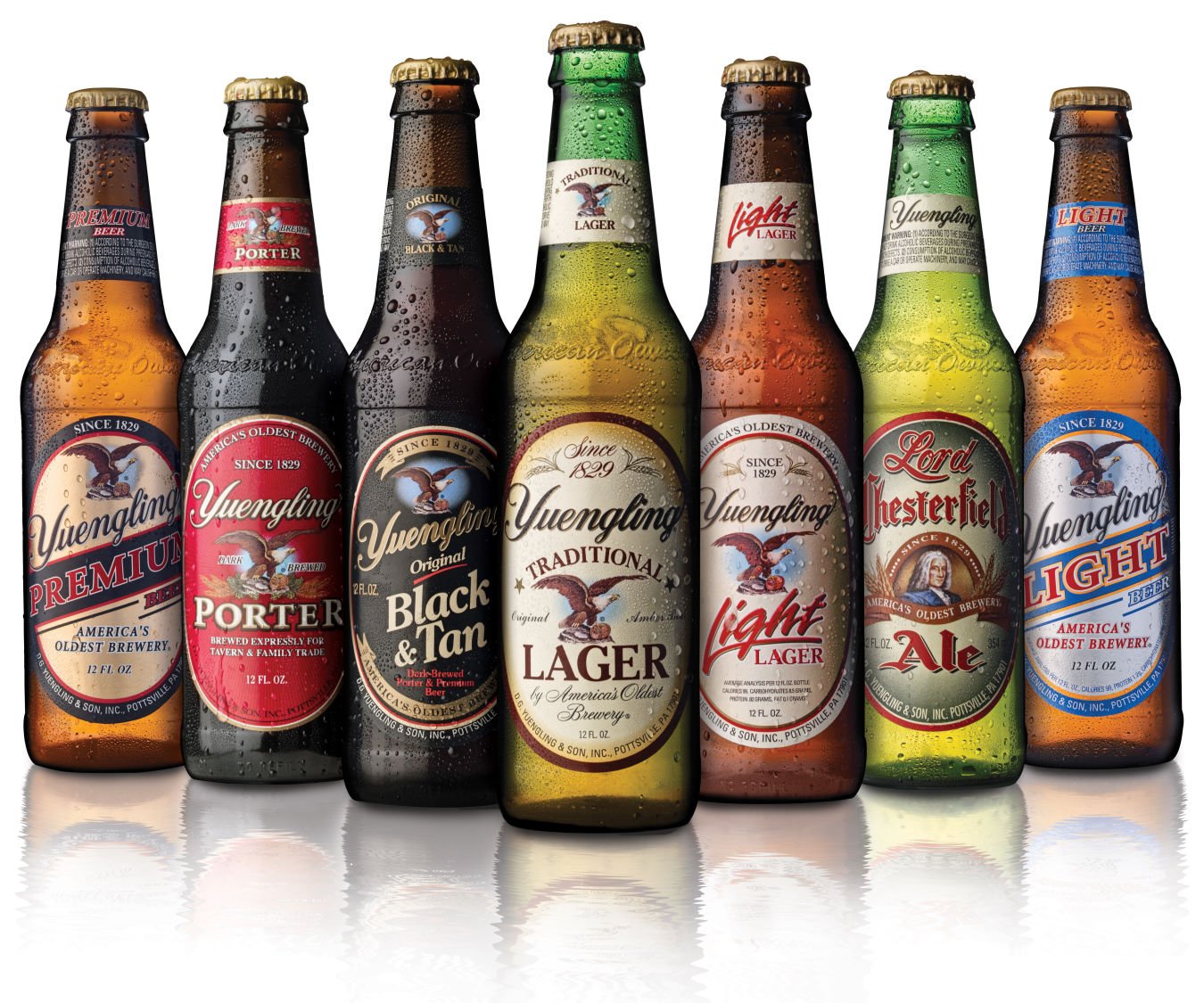 Yuengling To Release India Pale Lager In November Food   551c3e1b43669.image 