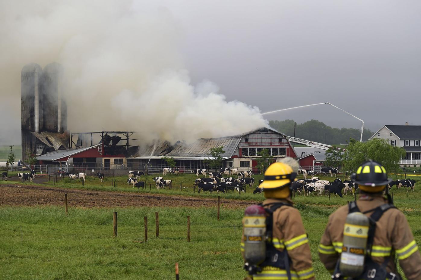 Clay Township dairy barn fire causes 350K damage Local News