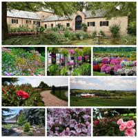 9 beautiful gardens to see in the Lancaster County region in 2023 (and ...