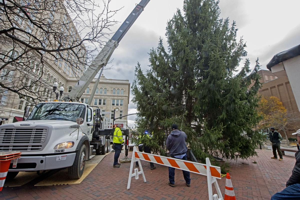 City Christmas Tree