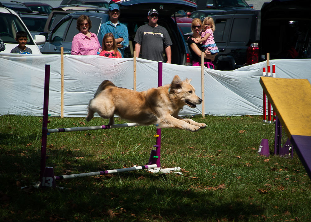 The Lancaster Kennel Club hosts Responsible Dog Ownership Day Sunday