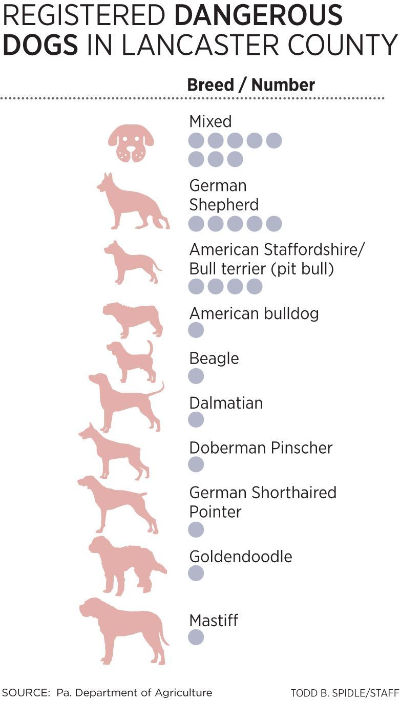 Mapping the data: Pennsylvania tracks 'dangerous dogs', including 24 ...