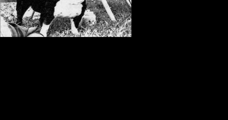 Mystery of the smiling dog; twin picnics for twins; the mayor and Connie Mack [Lancaster That Was] - Vimarsana News