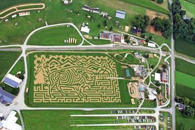Cherry Crest 2022 corn maze