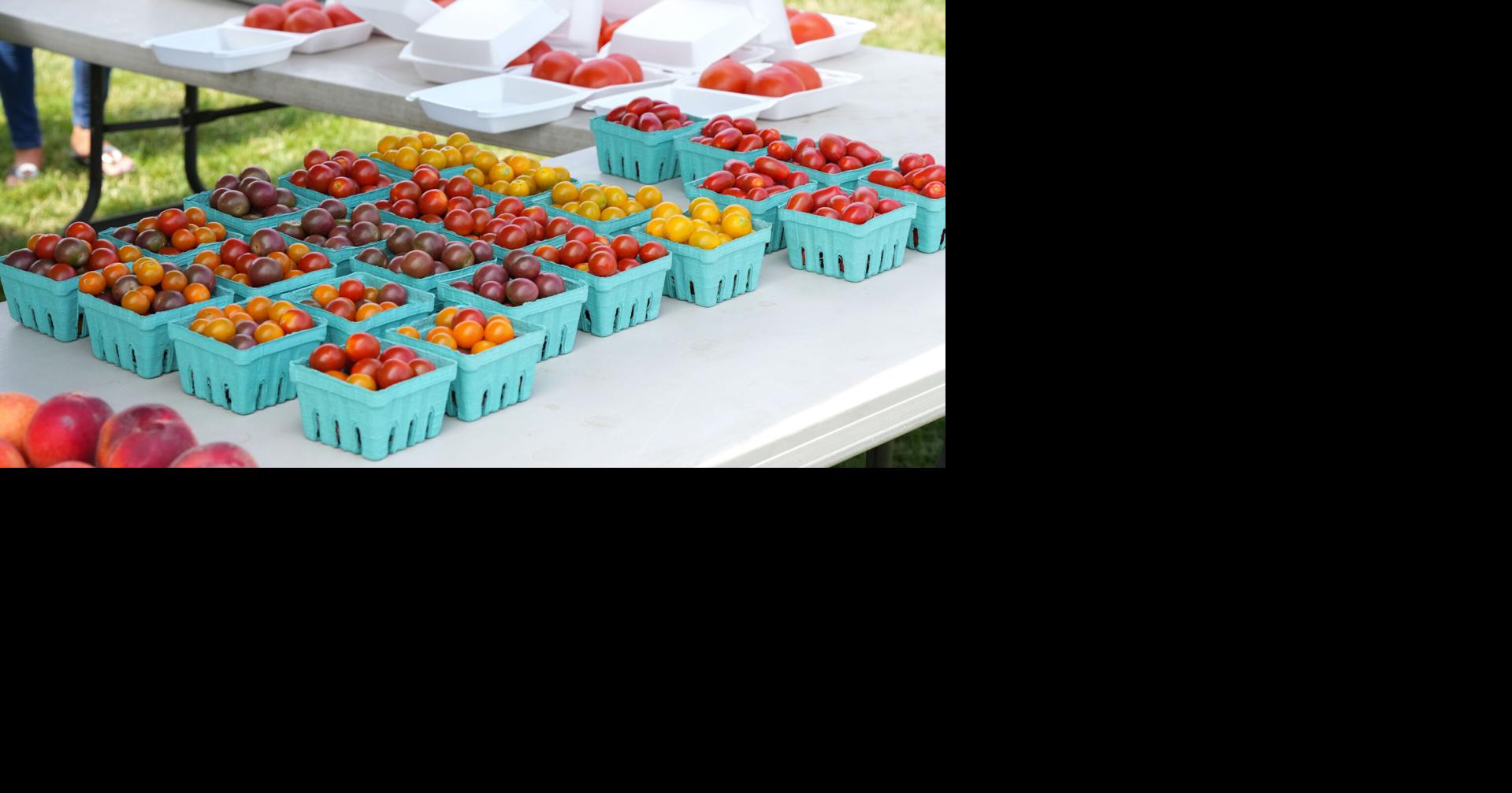 Washington Boro Tomato Festival returns to Lancaster County [photos