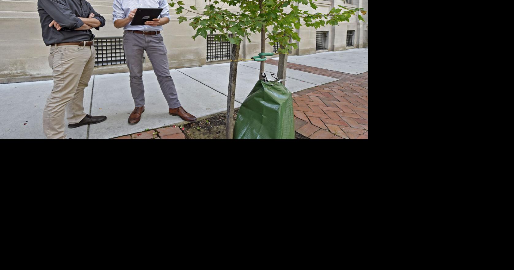 Lancaster city logs its 9,000 public trees — in searchable database ...