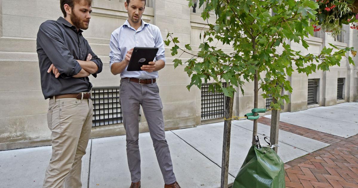 Corey Staver Lancaster city logs its 9,000 public trees — in searchable database ...