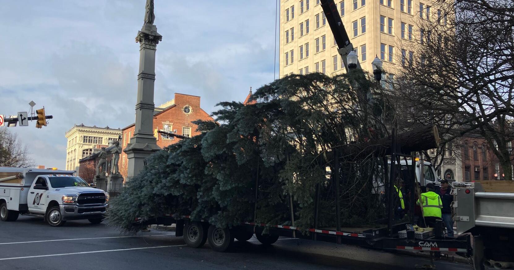 WATCH: This year's Christmas tree arrives in downtown Lancaster city