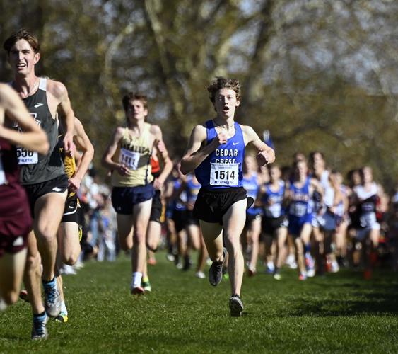 PIAA cross country championships [photos] | High School Cross Country ...