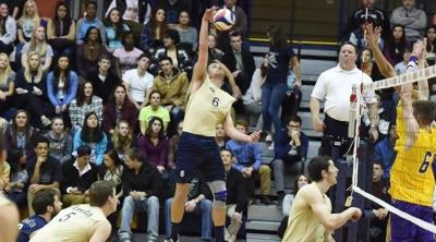 Shawaryn S Bold Step Juniata Men S Volleyball Coach Cancels
