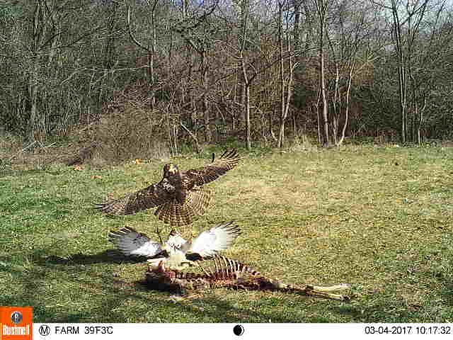 In Northwestern Lancaster County A Wild Skirmish Over Who