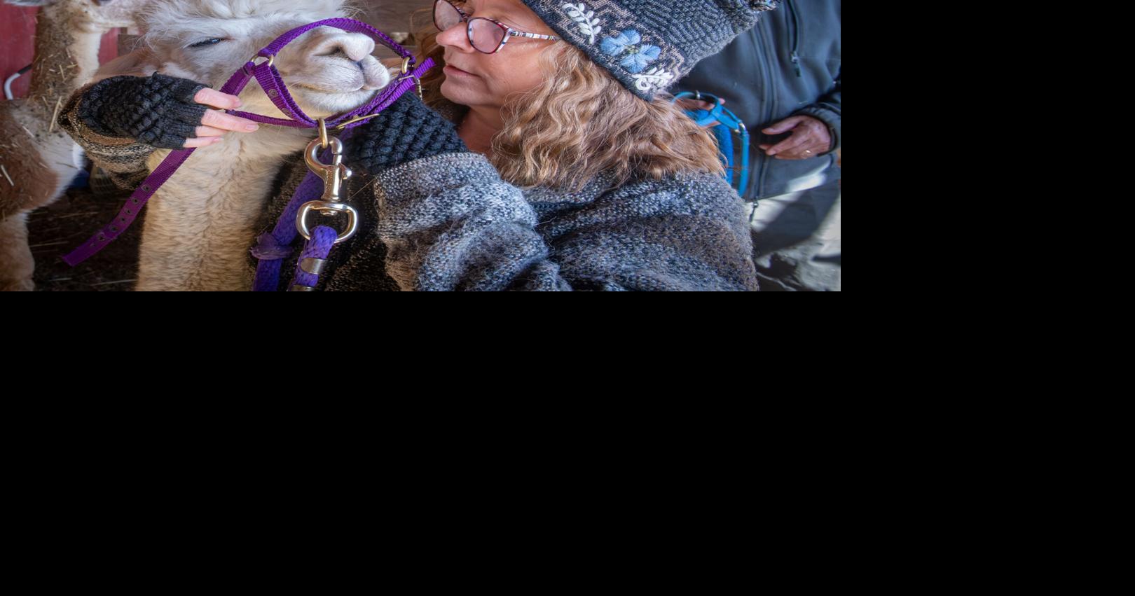 Lancaster County farms (and alpacas!) reap the benefits of Small Business Saturday