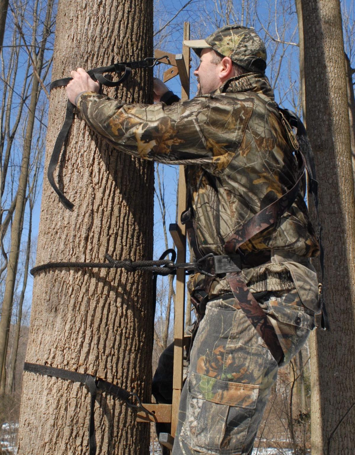 5 tips for safe tree stand hanging Local News