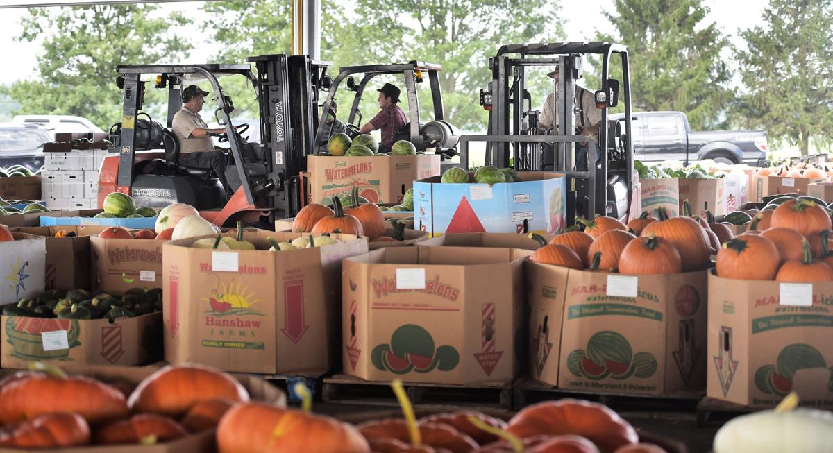 A day at Weaverland and Leola produce auctions [photo slideshow