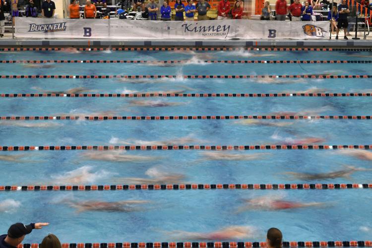 PIAA Class 2A Swimming Championships Day 2 [photos] High School