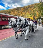 Through the Viewfinder: Fall in Jim Thorpe