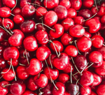 Here are five farms around Lancaster County where you can pick your own cherries this summer.