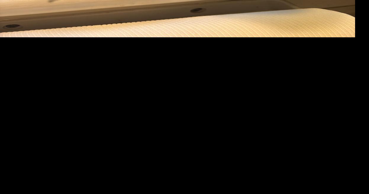 A look at 4 unique houseplants from Lancaster County vendor's Pa. Farm Show stand [column]