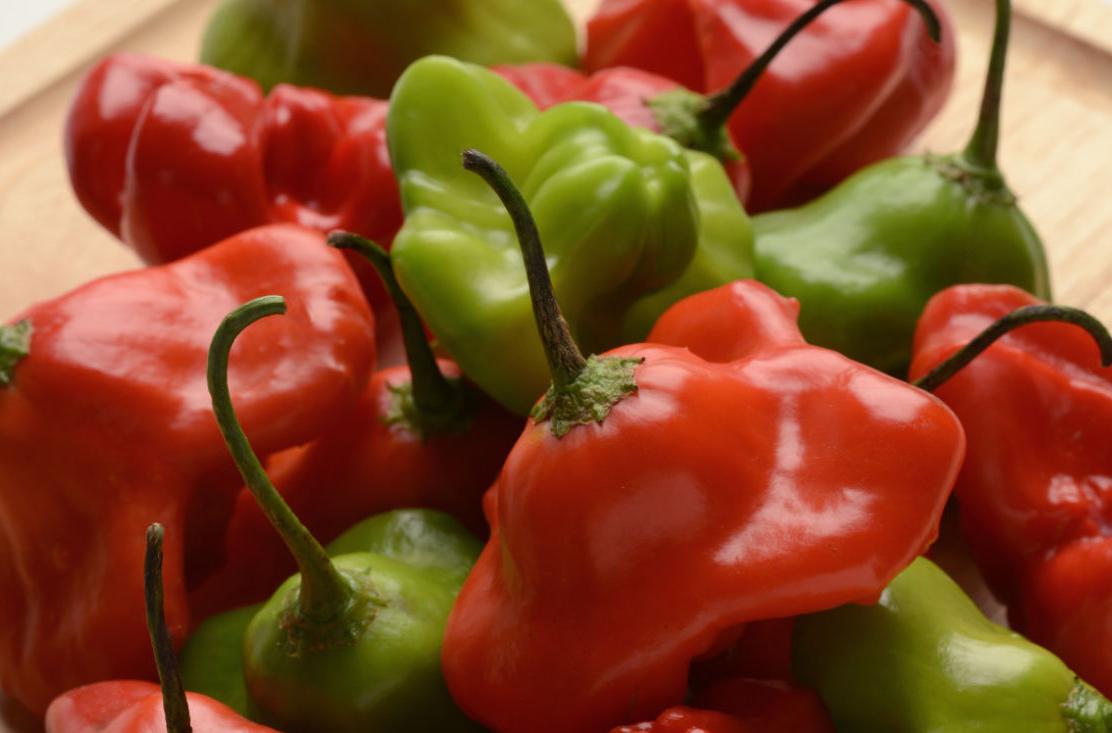 10 favorite new vegetable plants to find in Lancaster ...