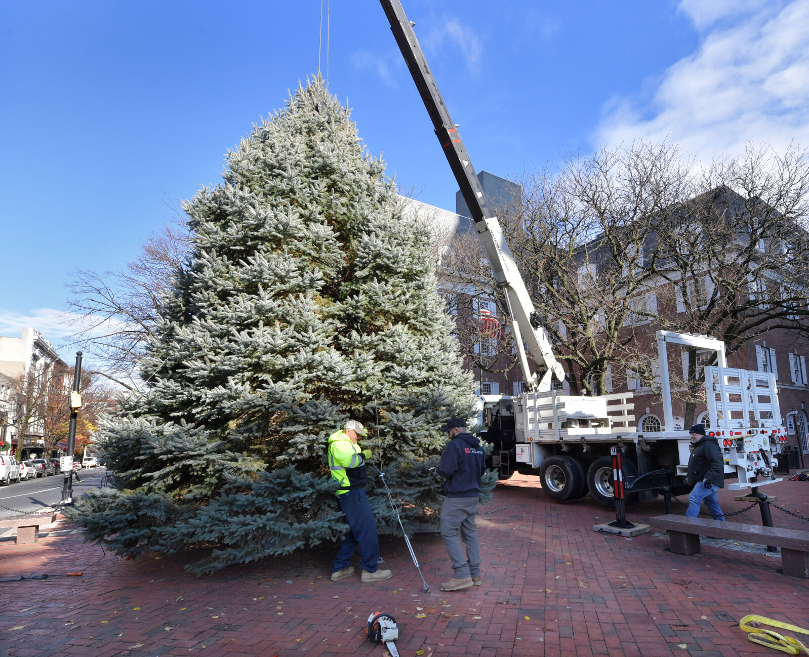 Lancaster city's Christmas tree goes up for 2024 [photos] | Local News ...