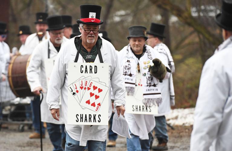 Octoraro Orphie 012.jpg