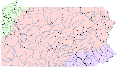 Lancaster County big reason for record Pennsylvania eagle nests this