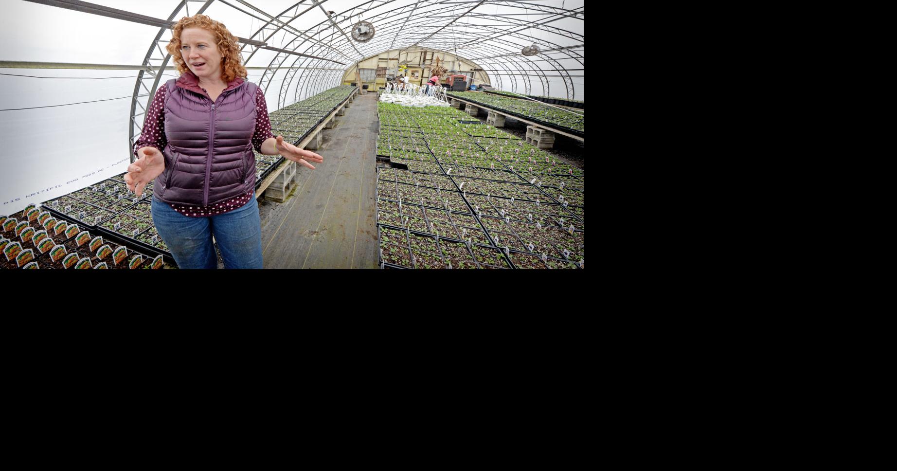 This greenhouse near Kirkwood is busy nearly yearround to grow