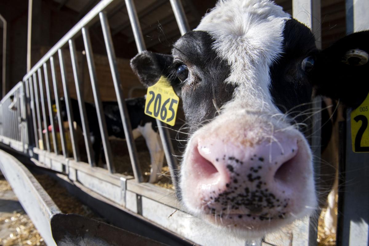 Take a look around the Lancaster County farm hosting the Pennsylvania
