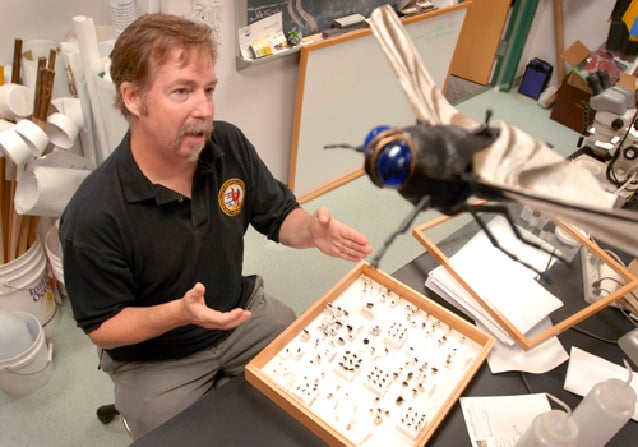 Forensic entomology dubbed scariest job of 2010 | News
