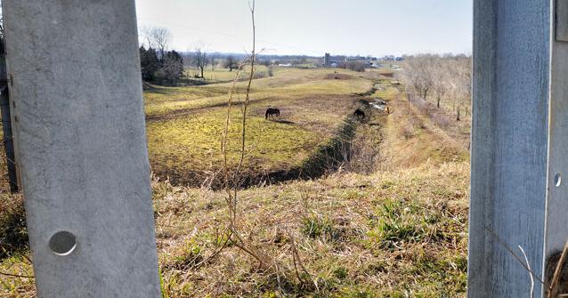 Goat path through the years: From pasture to bypass [photos ...