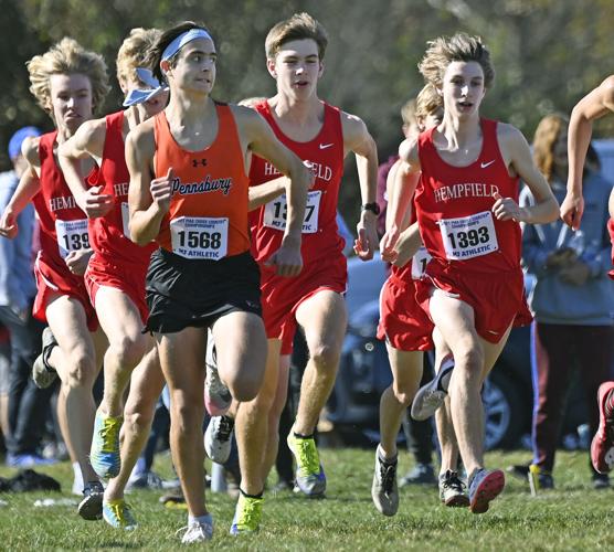 3 LL League runners earn state medals at PIAA cross country