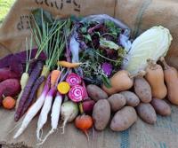 Here are 10 Lancaster County businesses offering Thanksgiving takeout, from ingredients to full meals