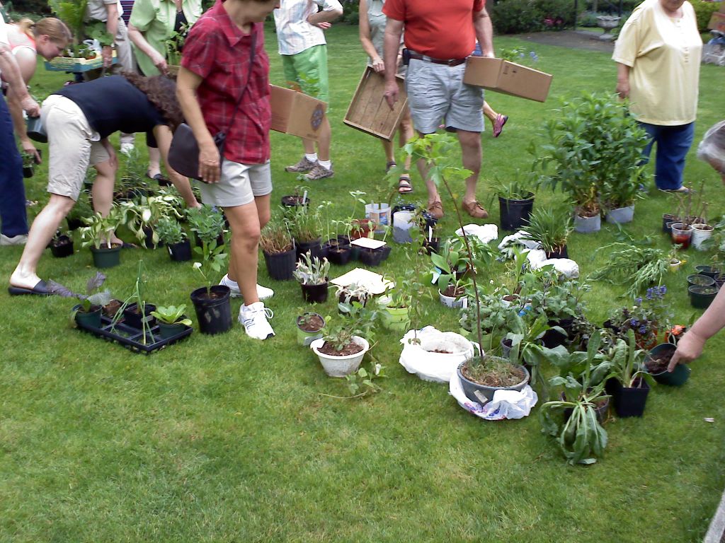 Plant sale, plant exchange both take place this weekend