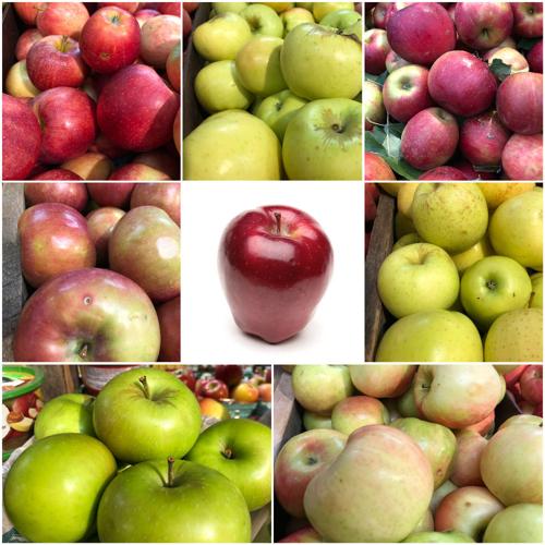 Apple varieties (Red Delicious, Granny Smith, Golden Delicious