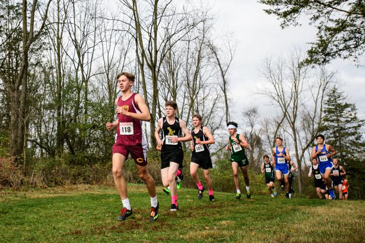 District 3 cross country championship races [photos] Sports