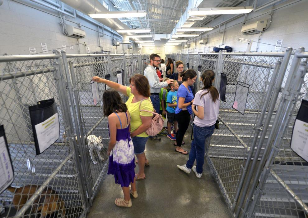Lancaster needs a nokill animal shelter that can survive over the long haul Our Opinion