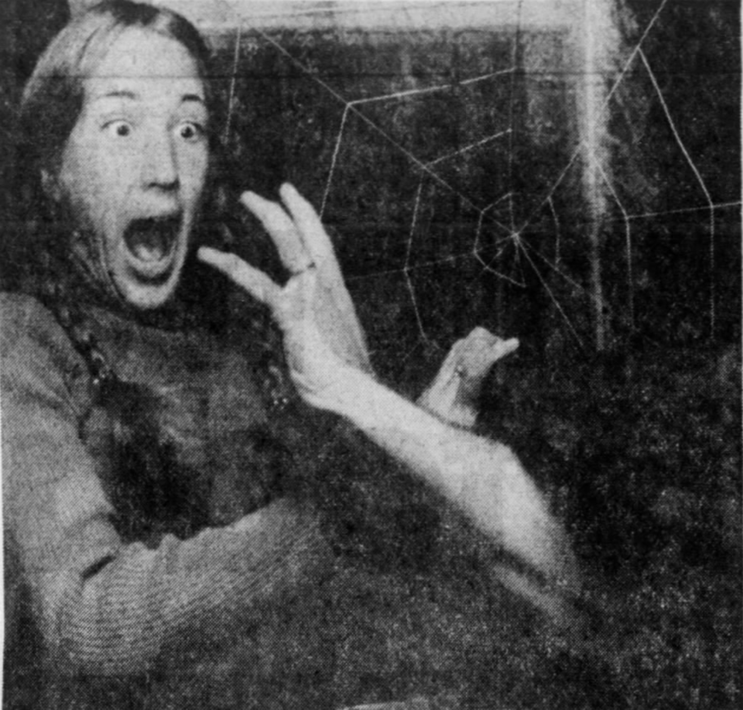 Lancaster County Halloween attractions image