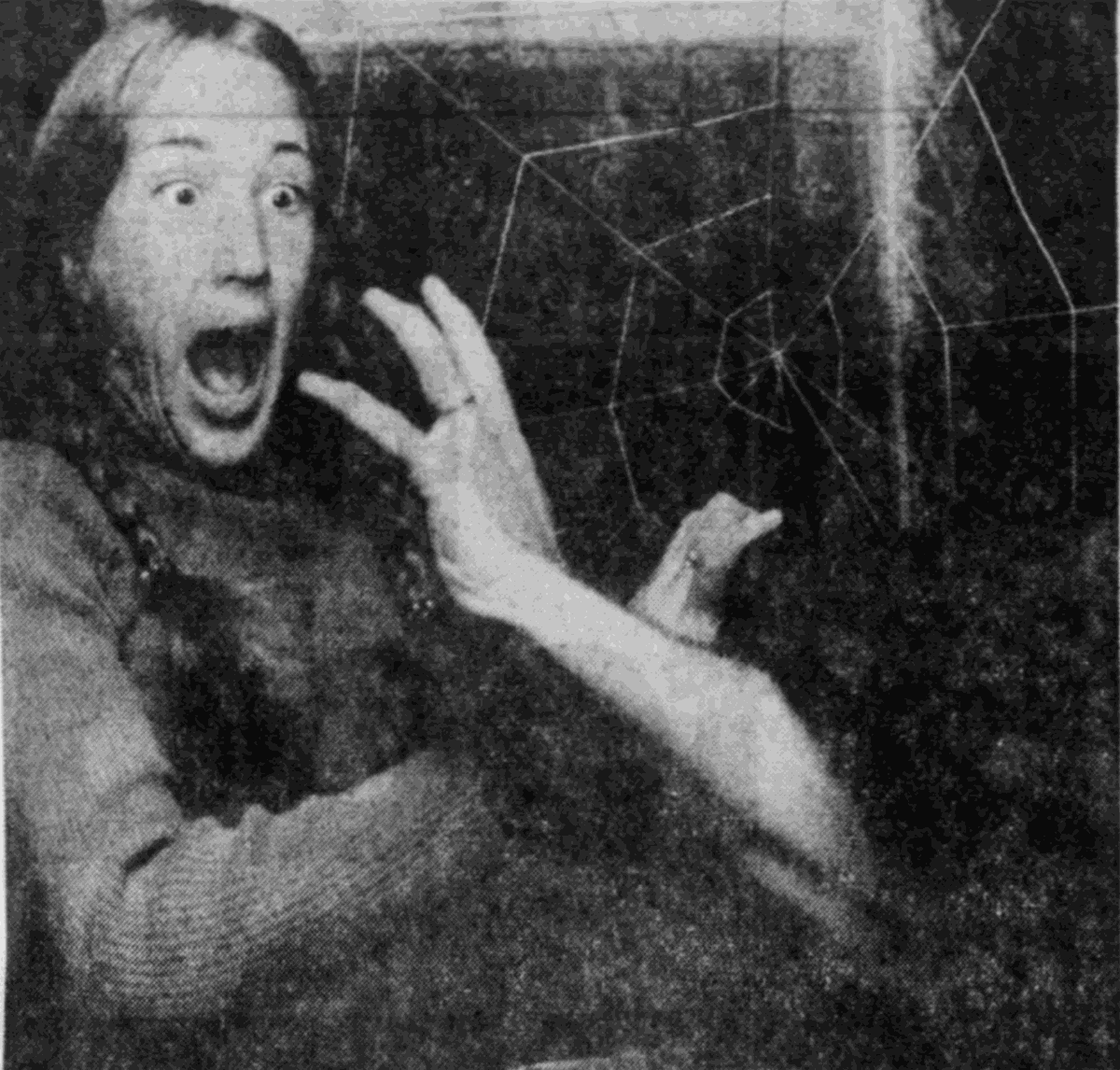 Remember Scream In The Dark Here Are 9 Facts About The Granddaddy Of Lancaster County Halloween Attractions Lanclife Lancasteronline Com