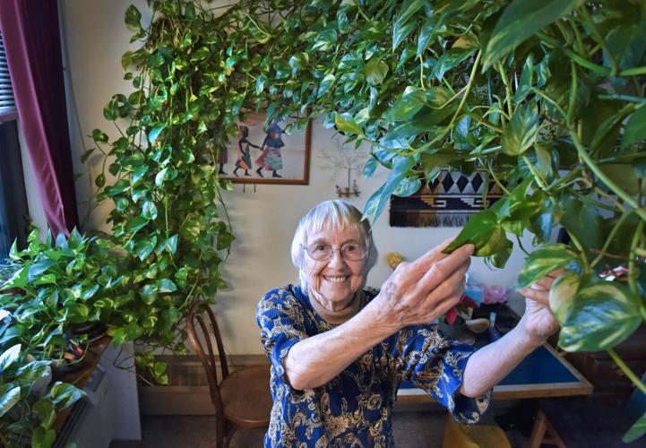 Lancaster woman who found new home for beloved plant passes away | Local  News | lancasteronline.com