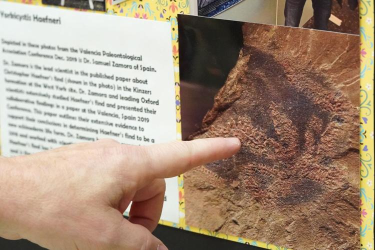 fossils072422-19.jpg