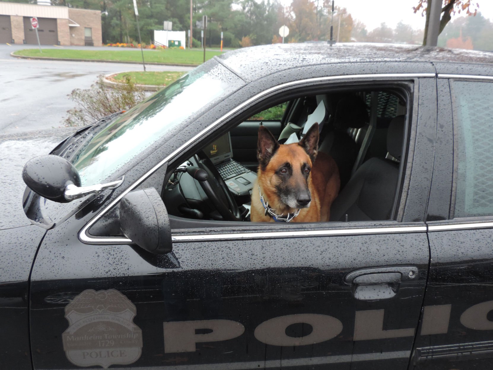 Lancaster County Law Enforcement Agencies Mourn Loss Of Retired K-9s ...