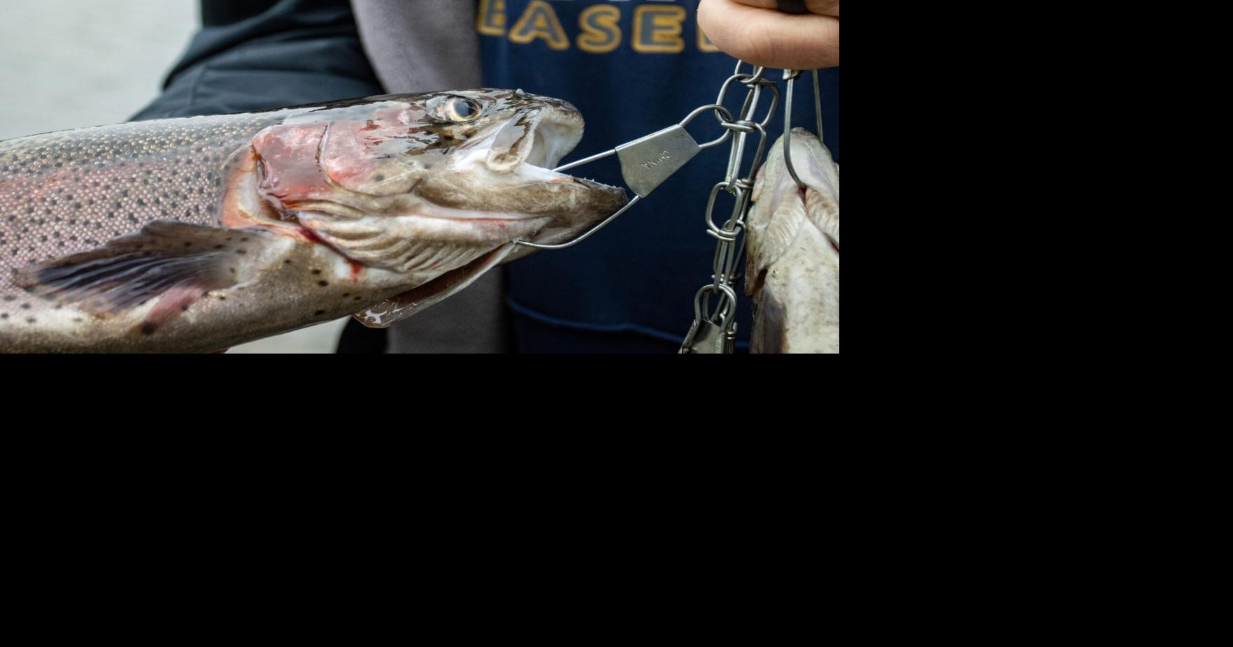 Start of trout season full of old and new memories at Muddy Run | Local ...