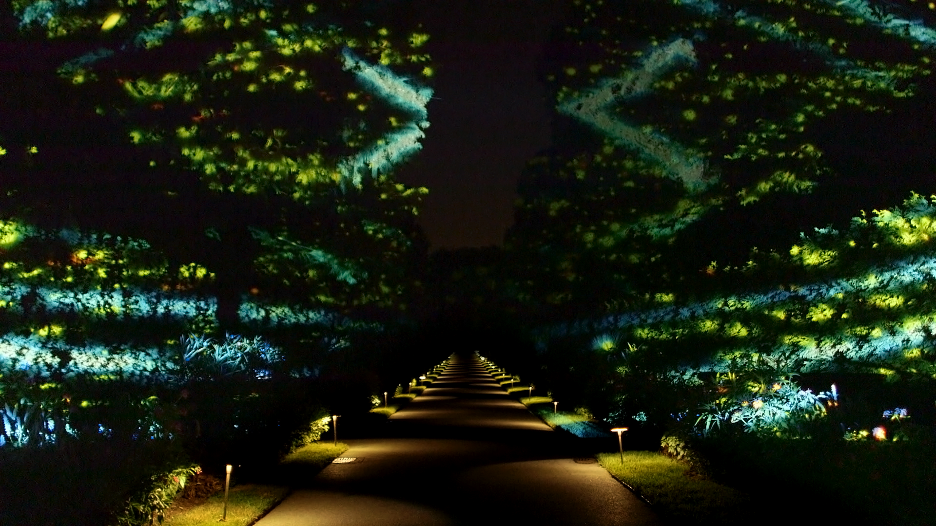 longwood gardens lightscape