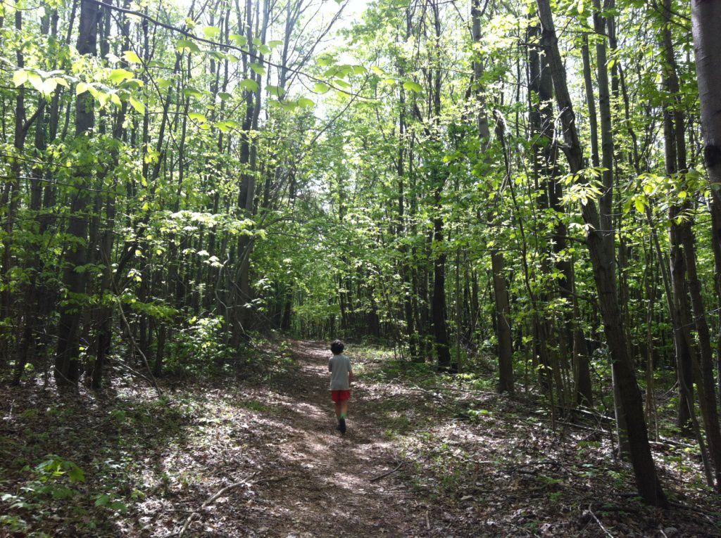 Lancaster County Conservancy adds 44 acres to Steinman Run ...