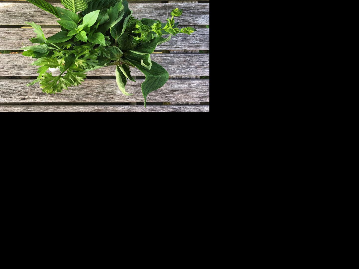 Herb farmer shares tips for enjoying — and preserving — her favorites