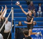 Manheim Central drops Dock Mennonite Academy, barrels into PIAA Class 2A volleyball semifinals