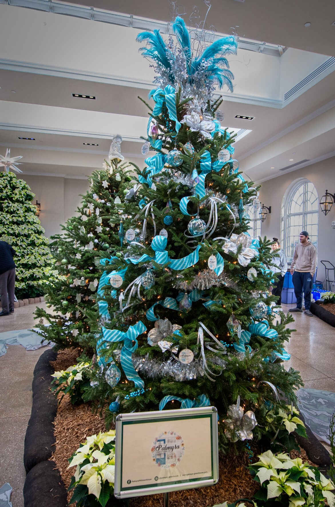 Take A Look At This Year's Hershey Gardens’ Christmas Tree Showcase ...