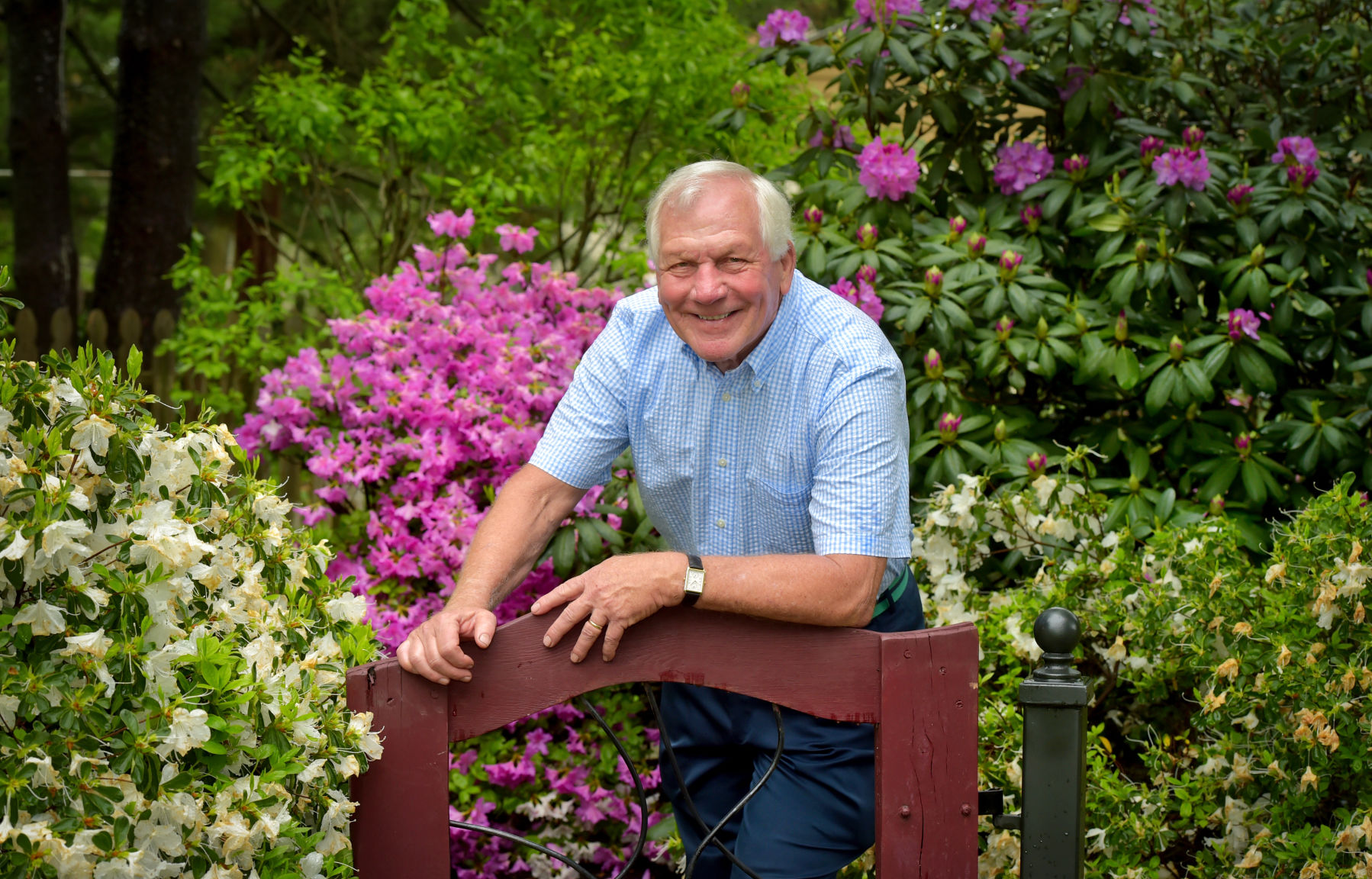 This Manheim Township garden blooms with azaleas, rhododendrons