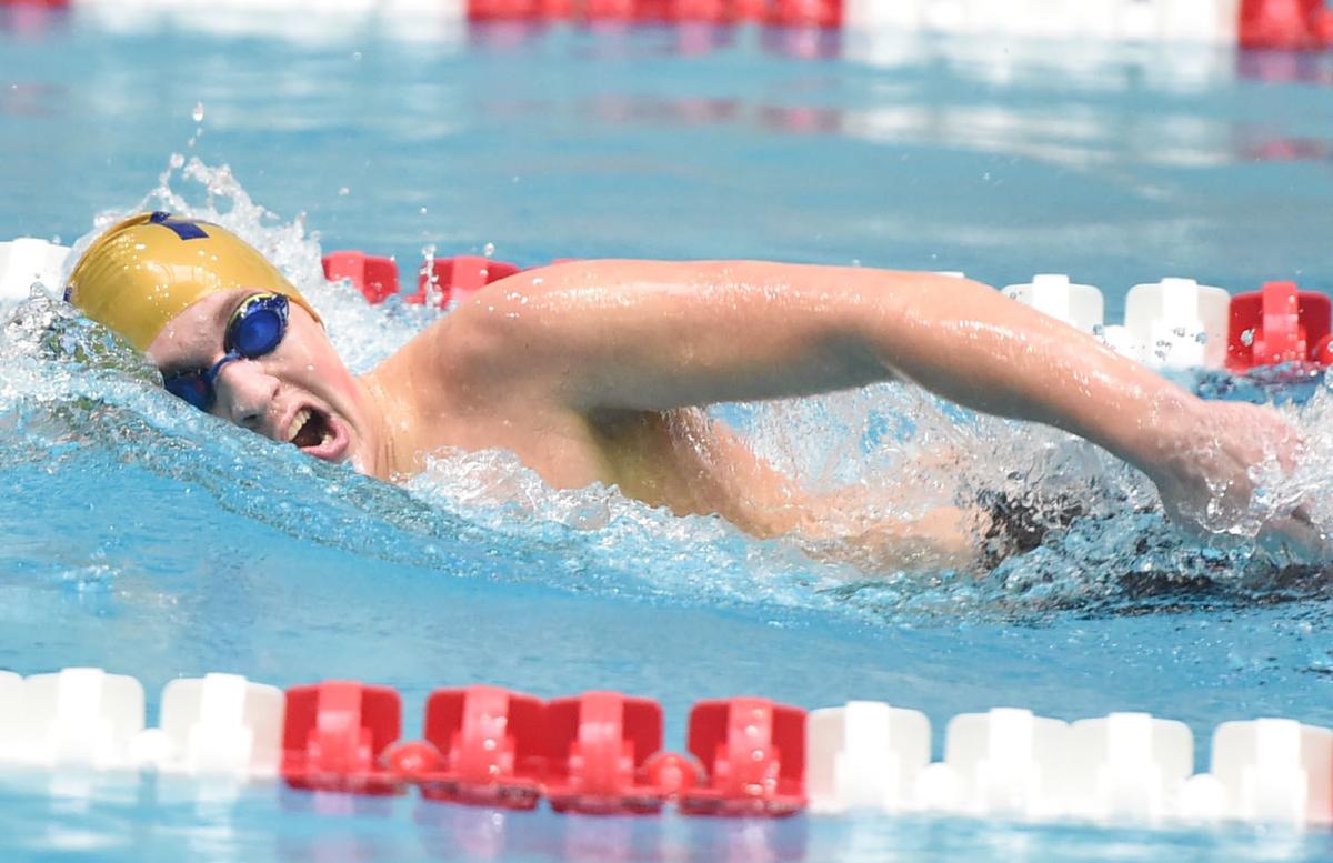 2018 19 L L Boys Swimming Section One Preview Capsules Swimming And Diving Lancasteronline Com