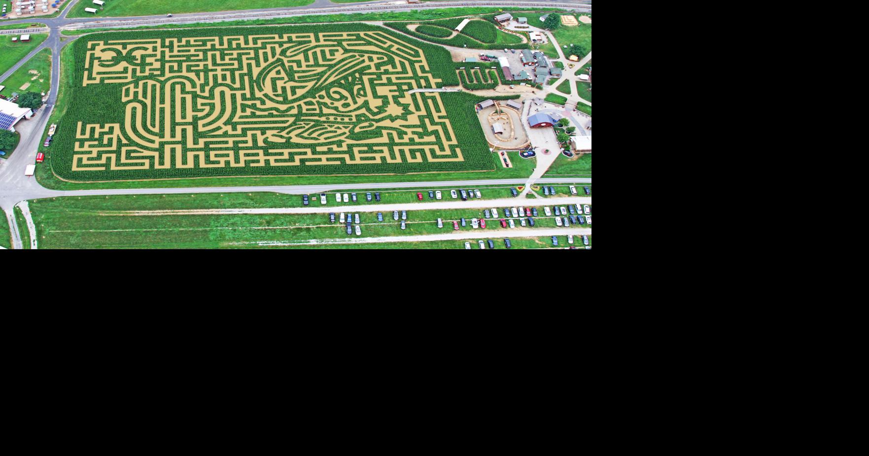Cherry Crest Adventure Farm competing for best corn maze in USA Today's readers' choice awards
